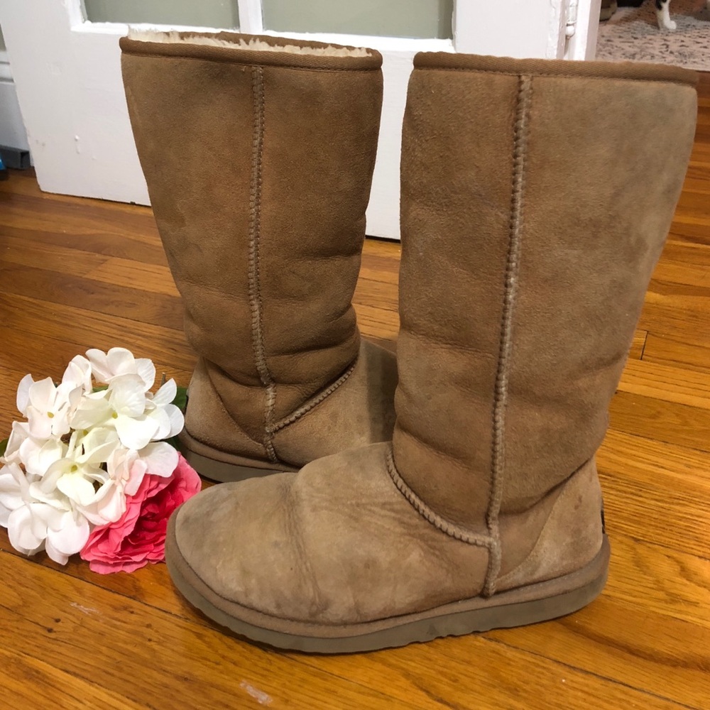 Tall Chestnut Uggs!